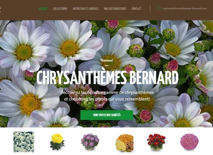 Notre nouveau site est en ligne
